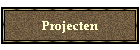 Projecten