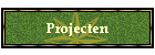 Projecten