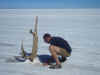 Salar de Uyuni: afscheid van cactus en salar