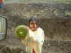 Mapuche meisje verkoopt vruchten van Araucaria boom